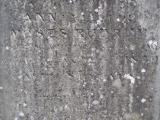 image of grave number 366288